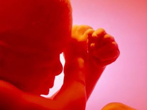 Aborto in Italia penalizzato secondo il Consiglio Europeo Foto